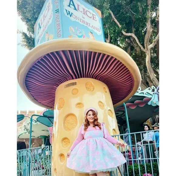 WOLF & BADGER Floral Embossed Tulle Sleeveless Bow Strap Babydoll‎ Puff Dress XS - Picture 9 of 14